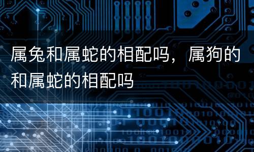 属兔和属蛇的相配吗，属狗的和属蛇的相配吗