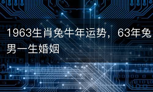 1963生肖兔牛年运势，63年兔男一生婚姻