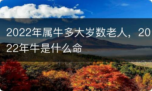 2022年属牛多大岁数老人，2022年牛是什么命