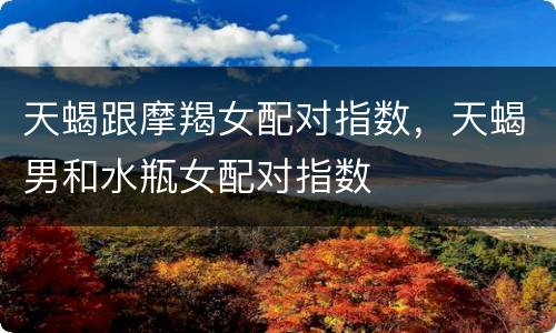 天蝎跟摩羯女配对指数，天蝎男和水瓶女配对指数