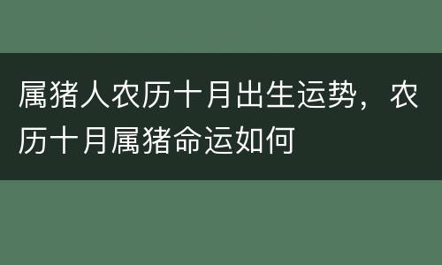 属猪人农历十月出生运势，农历十月属猪命运如何