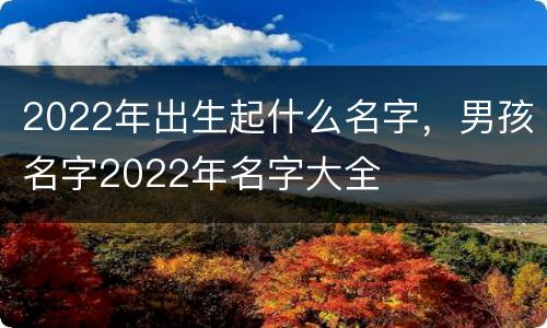 2022年出生起什么名字，男孩名字2022年名字大全