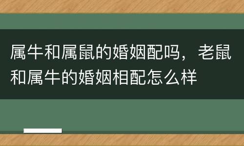 属牛和属鼠的婚姻配吗，老鼠和属牛的婚姻相配怎么样