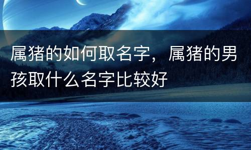 属猪的如何取名字，属猪的男孩取什么名字比较好