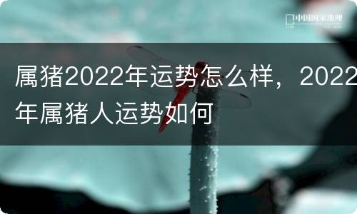 属猪2022年运势怎么样，2022年属猪人运势如何