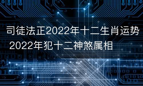 司徒法正2022年十二生肖运势 2022年犯十二神煞属相