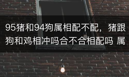 95猪和94狗属相配不配，猪跟狗和鸡相冲吗合不合相配吗 属狗