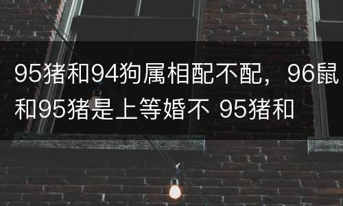 95猪和94狗属相配不配，96鼠和95猪是上等婚不 95猪和