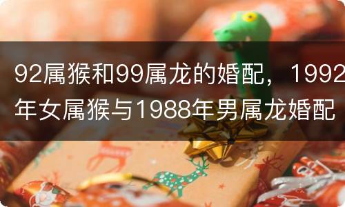 92属猴和99属龙的婚配，1992年女属猴与1988年男属龙婚配如何?