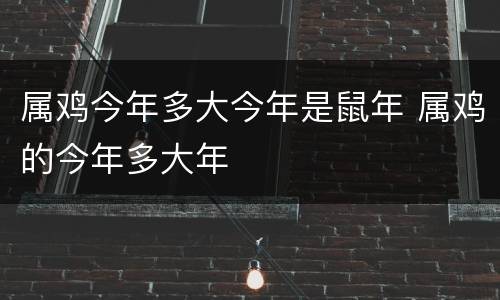 属鸡今年多大今年是鼠年 属鸡的今年多大年