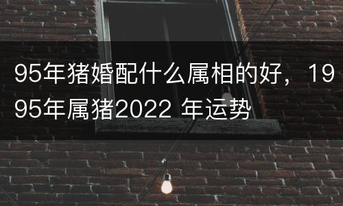 95年猪婚配什么属相的好，1995年属猪2022 年运势