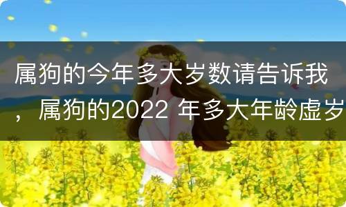 属狗的今年多大岁数请告诉我，属狗的2022 年多大年龄虚岁