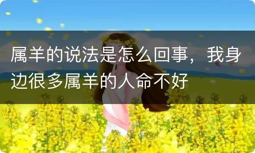 属羊的说法是怎么回事，我身边很多属羊的人命不好