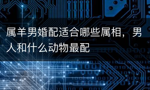 属羊男婚配适合哪些属相，男人和什么动物最配