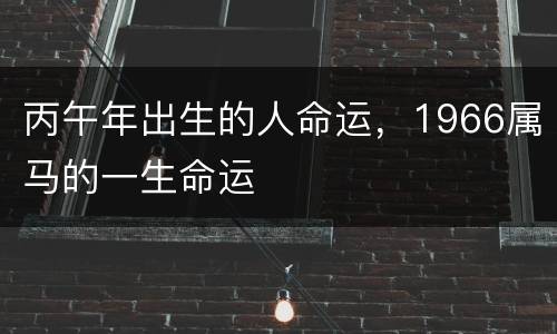 丙午年出生的人命运，1966属马的一生命运