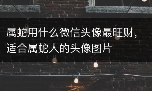 属蛇用什么微信头像最旺财，适合属蛇人的头像图片