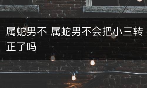 属蛇男不 属蛇男不会把小三转正了吗