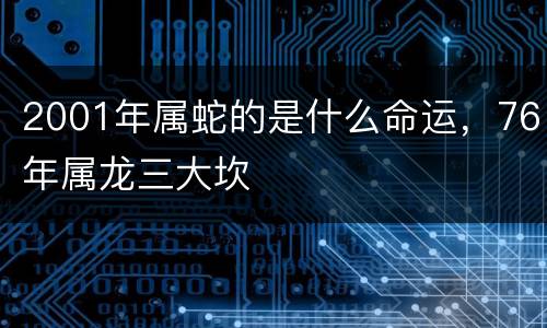 2001年属蛇的是什么命运，76年属龙三大坎