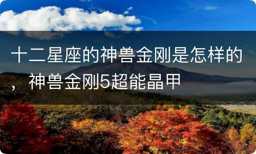 十二星座的神兽金刚是怎样的，神兽金刚5超能晶甲