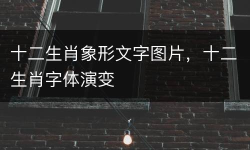 十二生肖象形文字图片，十二生肖字体演变