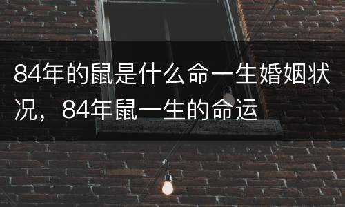 84年的鼠是什么命一生婚姻状况，84年鼠一生的命运
