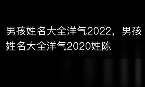 男孩姓名大全洋气2022，男孩姓名大全洋气2020姓陈