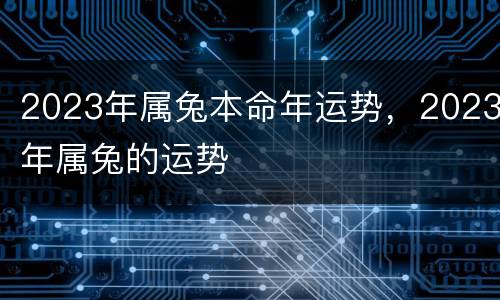 2023年属兔本命年运势，2023年属兔的运势