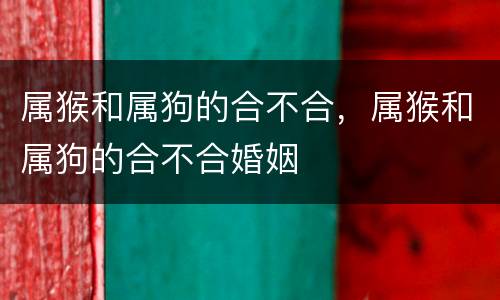 属猴和属狗的合不合，属猴和属狗的合不合婚姻