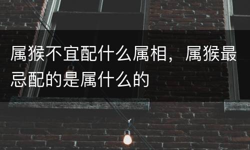 属猴不宜配什么属相，属猴最忌配的是属什么的
