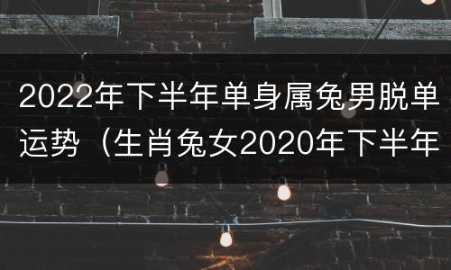 2022年下半年单身属兔男脱单运势（生肖兔女2020年下半年运势）