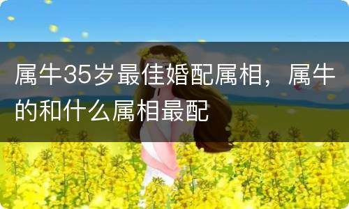 属牛35岁最佳婚配属相，属牛的和什么属相最配