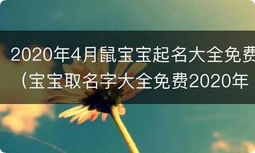 2020年4月鼠宝宝起名大全免费（宝宝取名字大全免费2020年鼠宝）