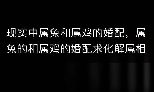 现实中属兔和属鸡的婚配，属兔的和属鸡的婚配求化解属相上的不合?