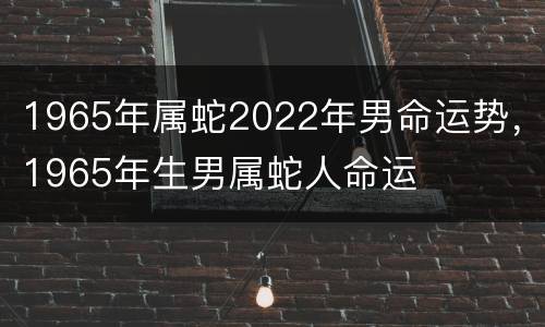 1965年属蛇2022年男命运势，1965年生男属蛇人命运