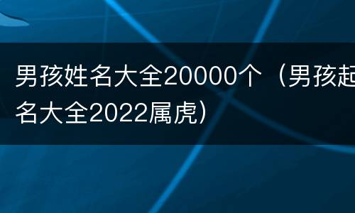 男孩姓名大全20000个（男孩起名大全2022属虎）