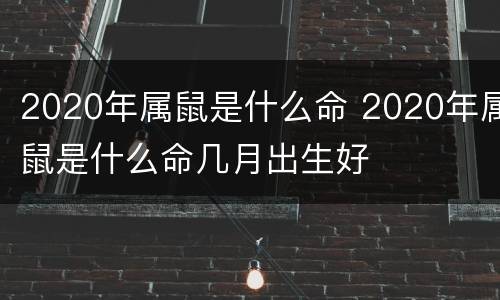2020年属鼠是什么命 2020年属鼠是什么命几月出生好