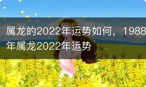属龙的2022年运势如何，1988年属龙2022年运势