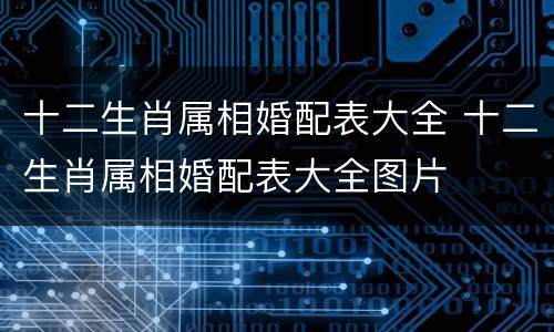 十二生肖属相婚配表大全 十二生肖属相婚配表大全图片