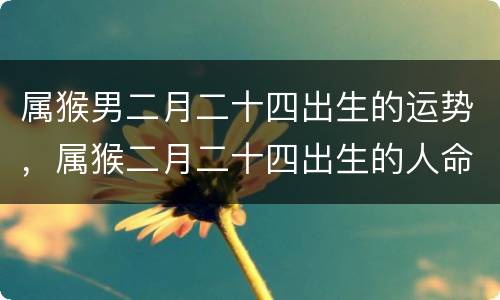 属猴男二月二十四出生的运势，属猴二月二十四出生的人命运