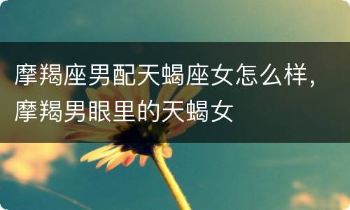 摩羯座男配天蝎座女怎么样，摩羯男眼里的天蝎女