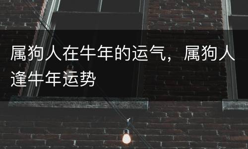 属狗人在牛年的运气，属狗人逢牛年运势
