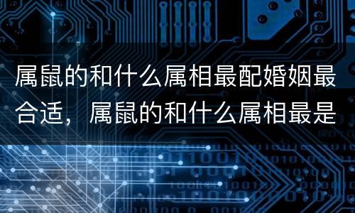 属鼠的和什么属相最配婚姻最合适，属鼠的和什么属相最是更佳婚配