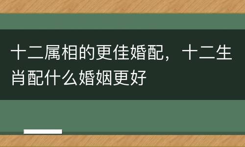 十二属相的更佳婚配，十二生肖配什么婚姻更好