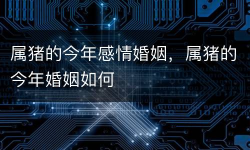 属猪的今年感情婚姻，属猪的今年婚姻如何