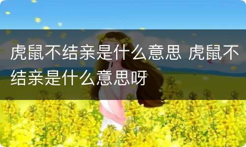 虎鼠不结亲是什么意思 虎鼠不结亲是什么意思呀
