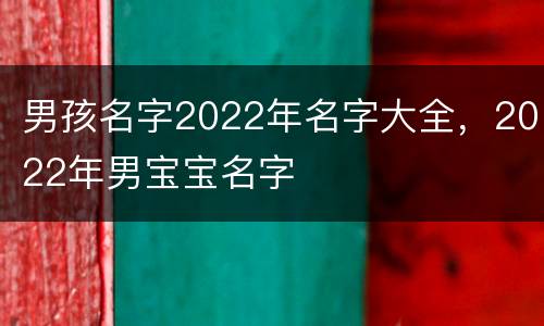 男孩名字2022年名字大全，2022年男宝宝名字