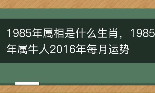 1985年属相是什么生肖，1985年属牛人2016年每月运势