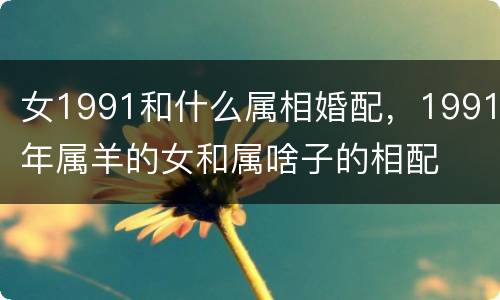 女1991和什么属相婚配，1991年属羊的女和属啥子的相配