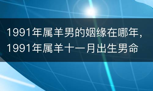 1991年属羊男的姻缘在哪年，1991年属羊十一月出生男命
