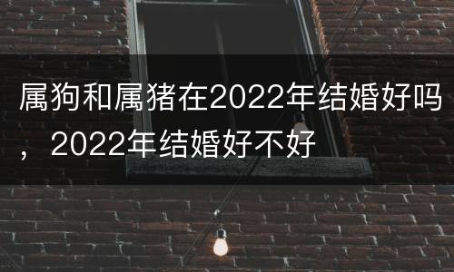属狗和属猪在2022年结婚好吗，2022年结婚好不好